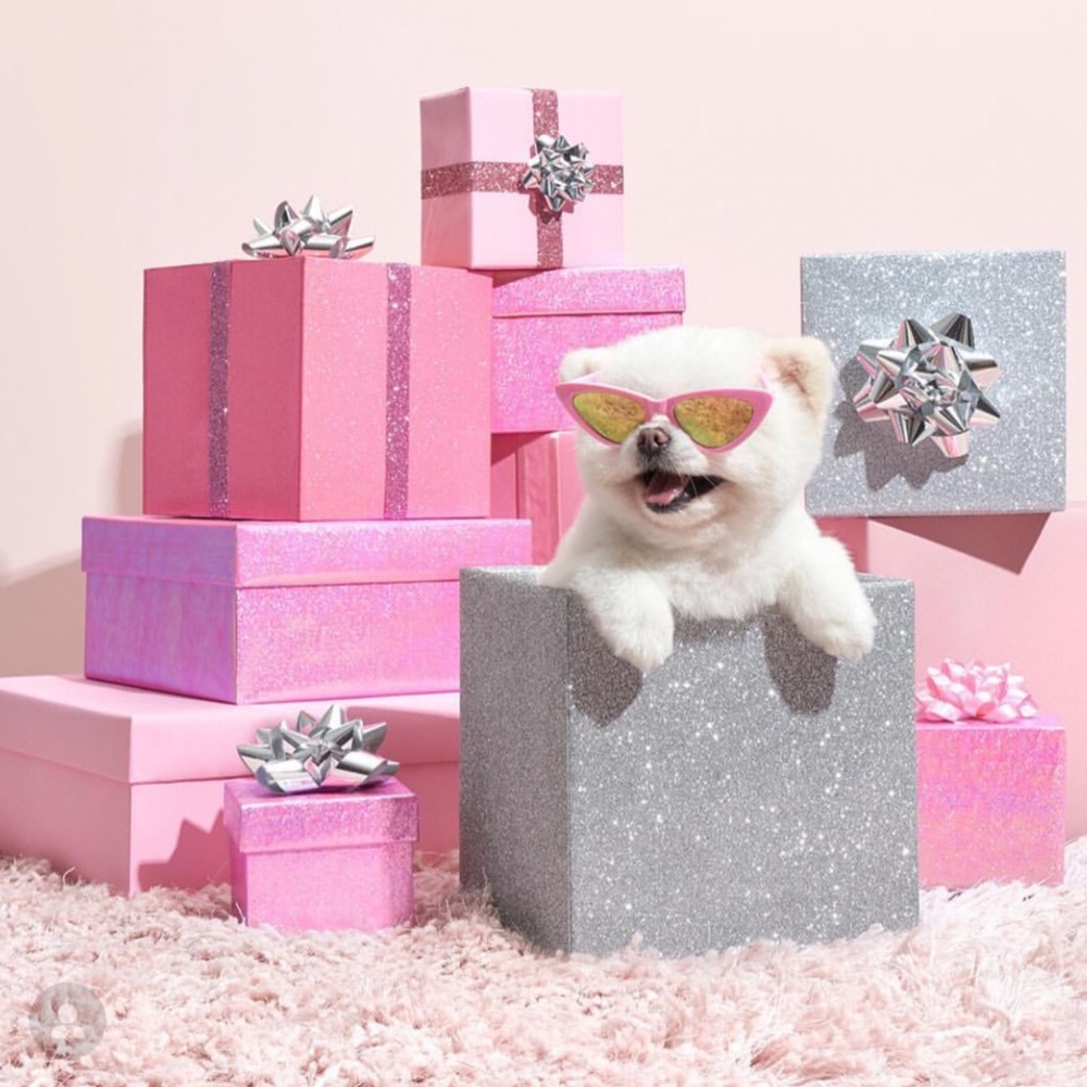 ANY SET OF KATE SPADE ITEM MYSTERY BOX